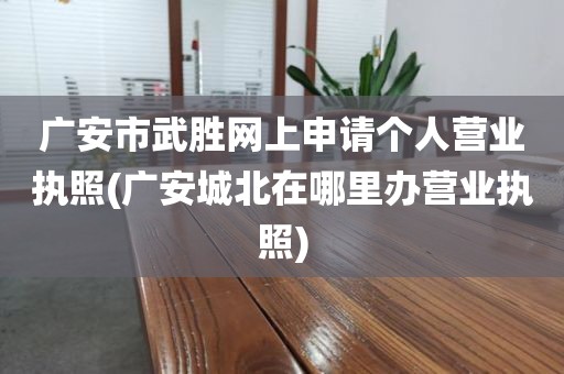 广安市武胜网上申请个人营业执照(广安城北在哪里办营业执照)