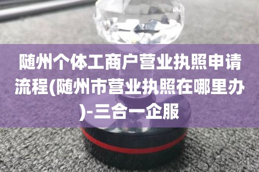 随州个体工商户营业执照申请流程(随州市营业执照在哪里办)-三合一企服