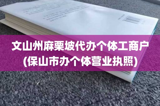 文山州麻栗坡代办个体工商户(保山市办个体营业执照)
