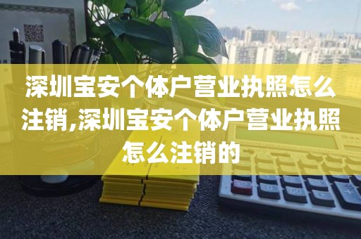 深圳宝安个体户营业执照怎么注销,深圳宝安个体户营业执照怎么注销的
