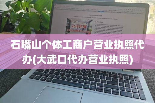 石嘴山个体工商户营业执照代办(大武口代办营业执照)