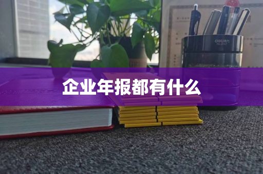 企业年报都有什么
