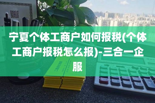 宁夏个体工商户如何报税(个体工商户报税怎么报)-三合一企服