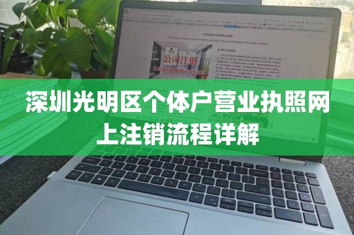 深圳光明区个体户营业执照网上注销流程详解