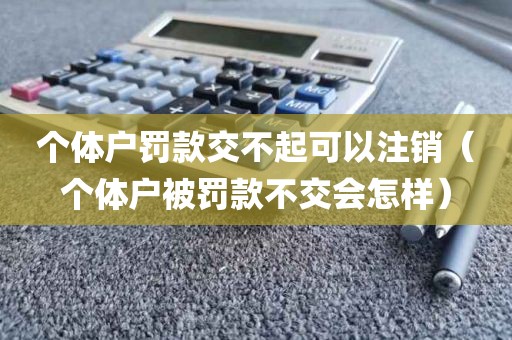 个体户罚款交不起可以注销（个体户被罚款不交会怎样）