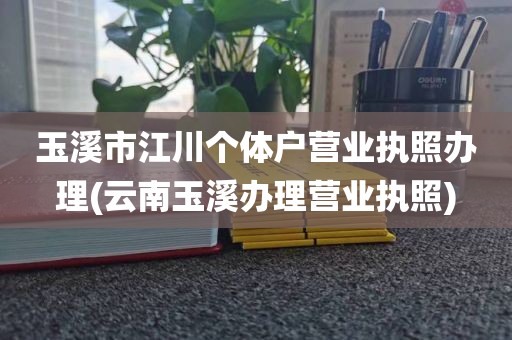 玉溪市江川个体户营业执照办理(云南玉溪办理营业执照)