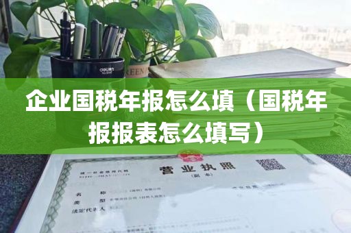 企业国税年报怎么填（国税年报报表怎么填写）
