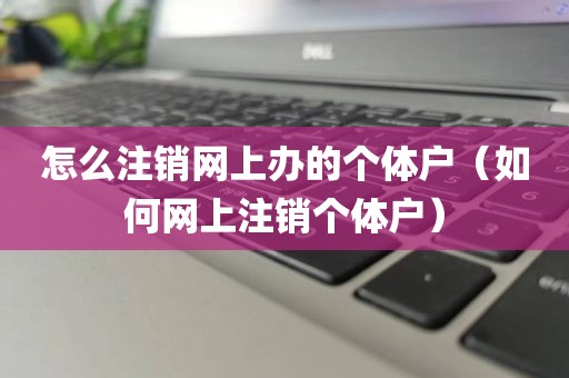 怎么注销网上办的个体户（如何网上注销个体户）