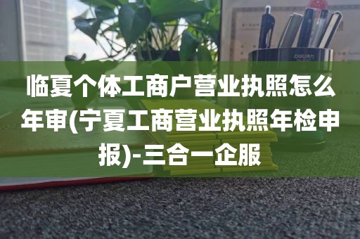 临夏个体工商户营业执照怎么年审(宁夏工商营业执照年检申报)-三合一企服