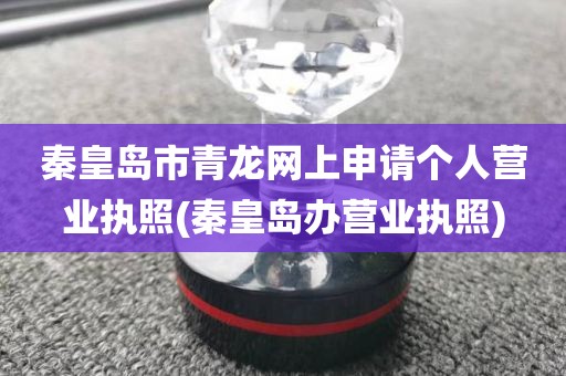 秦皇岛市青龙网上申请个人营业执照(秦皇岛办营业执照)