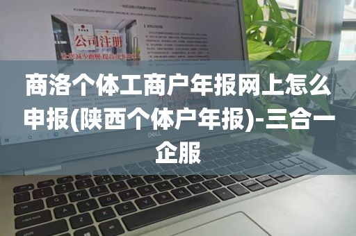 商洛个体工商户年报网上怎么申报(陕西个体户年报)-三合一企服