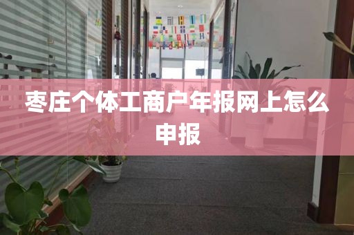 枣庄个体工商户年报网上怎么申报
