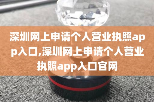 深圳网上申请个人营业执照app入口,深圳网上申请个人营业执照app入口官网