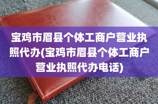 宝鸡市眉县个体工商户营业执照代办(宝鸡市眉县个体工商户营业执照代办电话)