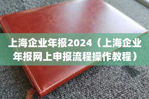 上海企业年报2024（上海企业年报网上申报流程操作教程）