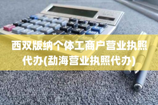 西双版纳个体工商户营业执照代办(勐海营业执照代办)