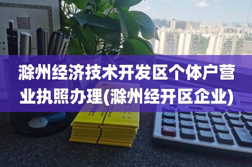 滁州经济技术开发区个体户营业执照办理(滁州经开区企业)