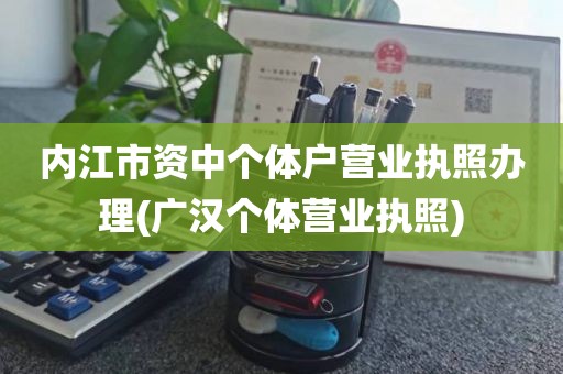 内江市资中个体户营业执照办理(广汉个体营业执照)