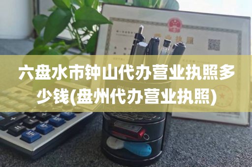 六盘水市钟山代办营业执照多少钱(盘州代办营业执照)