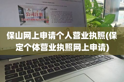 保山网上申请个人营业执照(保定个体营业执照网上申请)