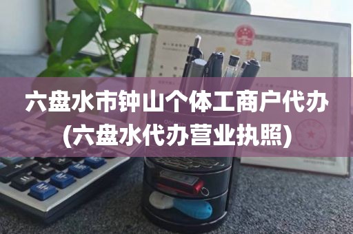 六盘水市钟山个体工商户代办(六盘水代办营业执照)