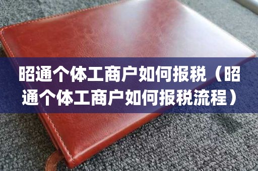 昭通个体工商户如何报税（昭通个体工商户如何报税流程）