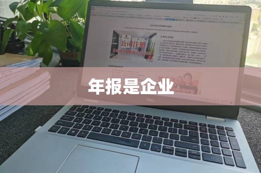 年报是企业