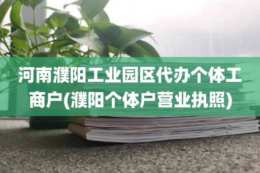 河南濮阳工业园区代办个体工商户(濮阳个体户营业执照)