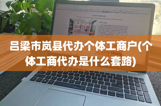 吕梁市岚县代办个体工商户(个体工商代办是什么套路)