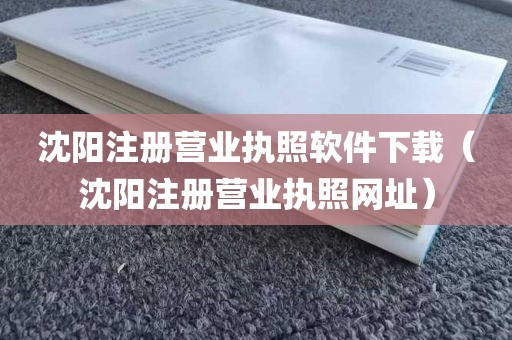 沈阳注册营业执照软件下载（沈阳注册营业执照网址）