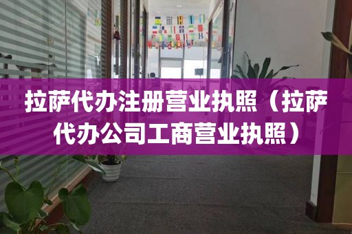 拉萨代办注册营业执照（拉萨代办公司工商营业执照）
