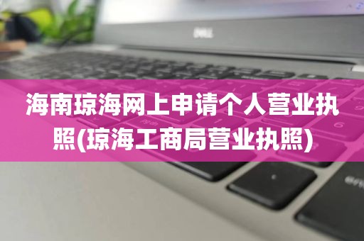 海南琼海网上申请个人营业执照(琼海工商局营业执照)