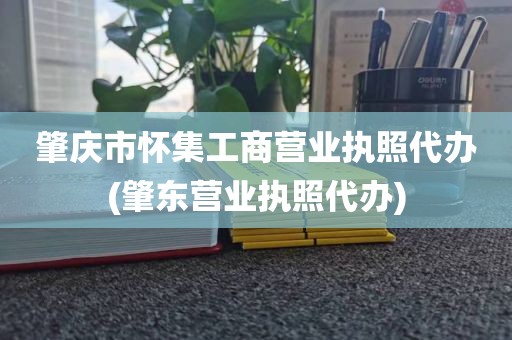 肇庆市怀集工商营业执照代办(肇东营业执照代办)