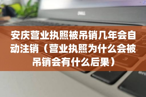 安庆营业执照被吊销几年会自动注销(营业执照为什么会被吊销会有什么后果)