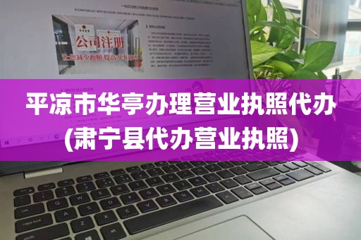 平凉市华亭办理营业执照代办(肃宁县代办营业执照)