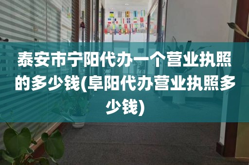 泰安市宁阳代办一个营业执照的多少钱(阜阳代办营业执照多少钱)