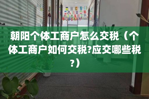 朝阳个体工商户怎么交税（个体工商户如何交税?应交哪些税?）