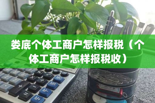 娄底个体工商户怎样报税（个体工商户怎样报税收）