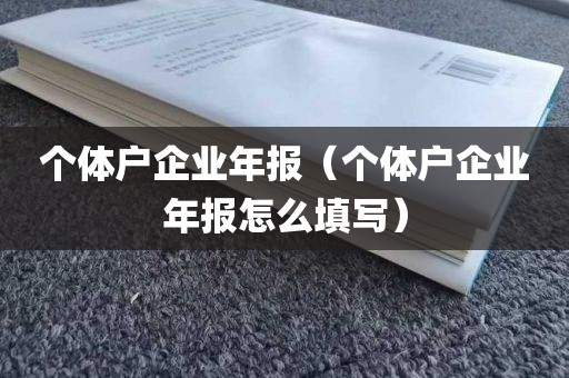 个体户企业年报（个体户企业年报怎么填写）