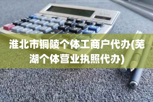 淮北市铜陵个体工商户代办(芜湖个体营业执照代办)