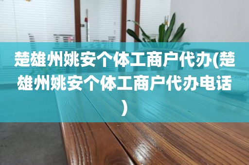 楚雄州姚安个体工商户代办(楚雄州姚安个体工商户代办电话)