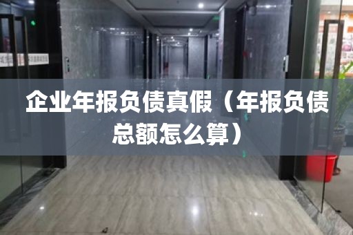 企业年报负债真假（年报负债总额怎么算）