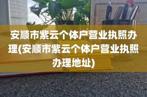 安顺市紫云个体户营业执照办理(安顺市紫云个体户营业执照办理地址)