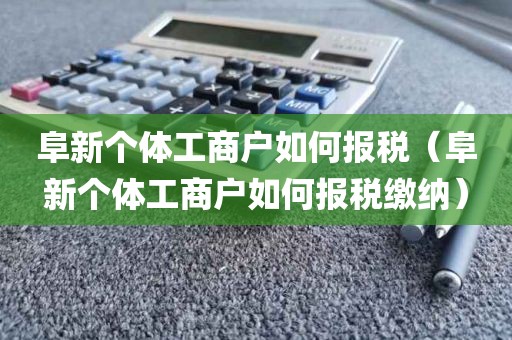 阜新个体工商户如何报税（阜新个体工商户如何报税缴纳）