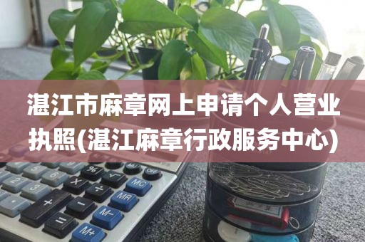 湛江市麻章网上申请个人营业执照(湛江麻章行政服务中心)