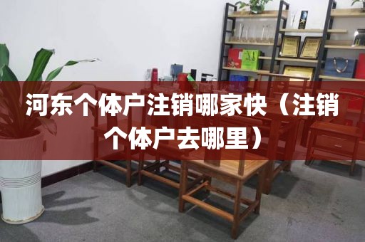 河东个体户注销哪家快（注销个体户去哪里）