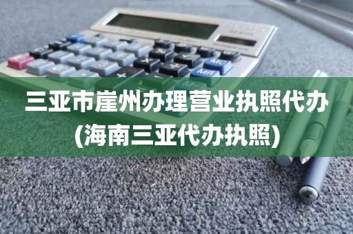 三亚市崖州办理营业执照代办(海南三亚代办执照)