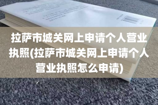 拉萨市城关网上申请个人营业执照(拉萨市城关网上申请个人营业执照怎么申请)