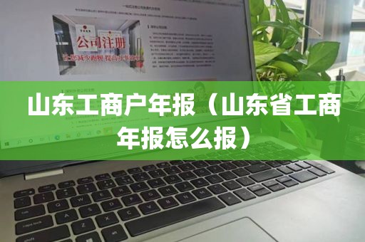 山东工商户年报（山东省工商年报怎么报）