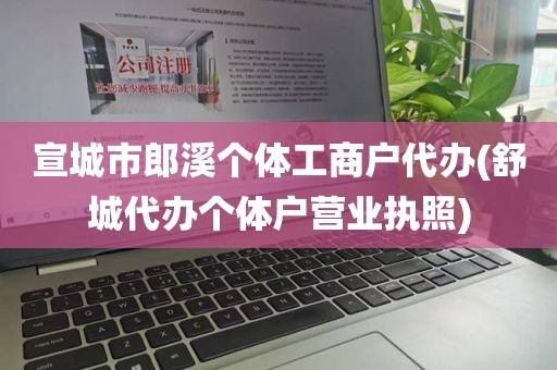 宣城市郎溪个体工商户代办(舒城代办个体户营业执照)